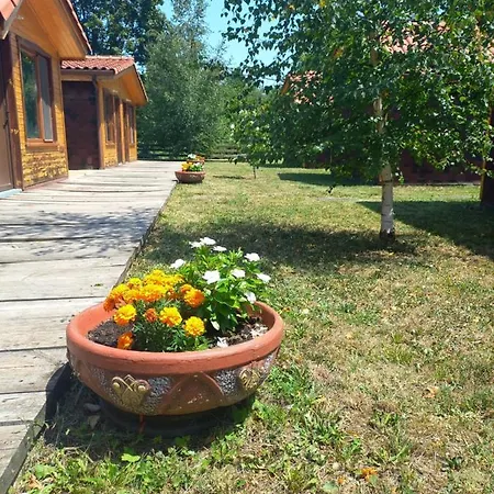 мировец Maluk Izvor (Lovech)